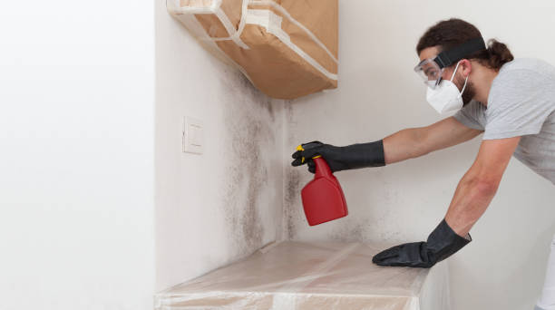 Professional Attic Mold Remediation technician working in Barton, MD