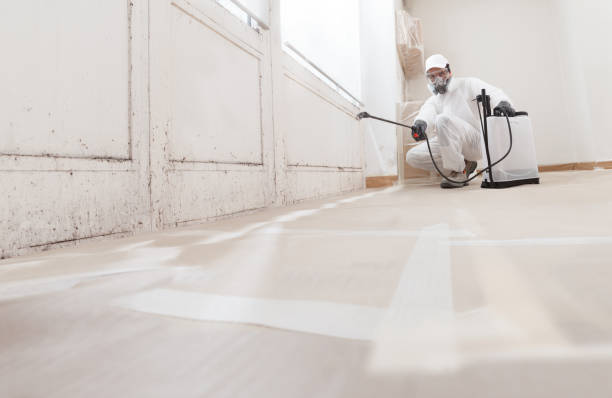 24/7 Emergency Attic Mold Remediation experts in Barton, MD
