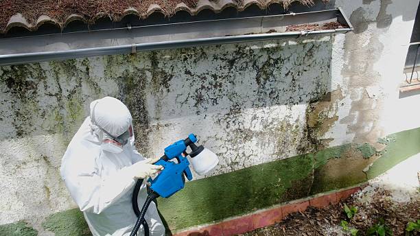 Top rated local Attic Mold Remediation specialists in Barton, MD